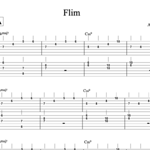 Guitar Tab for Flim